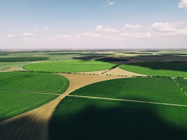 Aerial view of green farmland stretching to the horizon